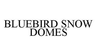 BLUEBIRD SNOW DOMES trademark