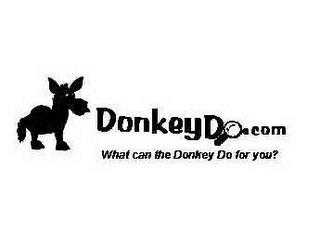 DONKEYDO.COM WHAT CAN THE DONKEY DO FOR YOU? trademark