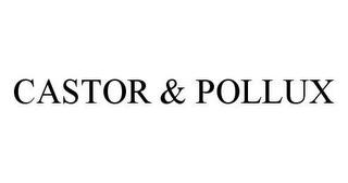 CASTOR & POLLUX trademark