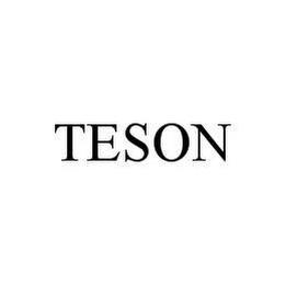 TESON trademark