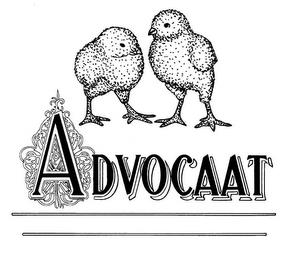 ADVOCAAT trademark