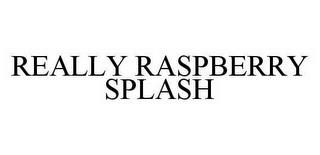 REALLY RASPBERRY SPLASH trademark