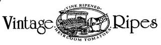 VINTAGE RIPES VINE RIPENED HEIRLOOM TOMATOES trademark