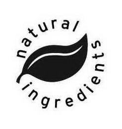 NATURAL INGREDIENTS trademark