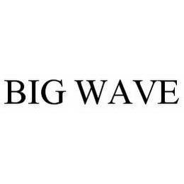 BIG WAVE trademark