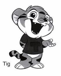 TIG trademark