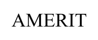 AMERIT trademark