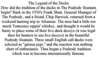 THE LEGEND OF THE DUCKS HOW DID THE TRADITION OF THE DUCKS IN THE PEABODY FOUNTAIN BEGIN? BACK IN THE 1930'S FRANK SHUTT, GENERAL MANAGER OF THE PEABODY, AND A FRIEND, CHIP BARWICK, RETURNED FROM A WEEKEND HUNTING TRIP TO ARKANSAS. THE MEN HAD A LITTLE TOO MUCH TENNESSEE SIPPIN' WHISKEY, AND THOUGHT IT WOULD BE FUNNY TO PLACE SOME OF THEIR LIVE DUCK DECOYS (IT WAS LEGAL THEN FOR HUNTERS TO USE LIV trademark