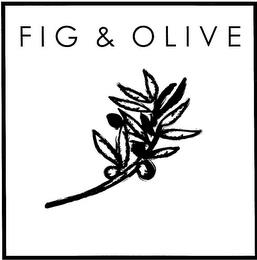 FIG & OLIVE trademark