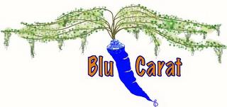 BLU CARAT trademark