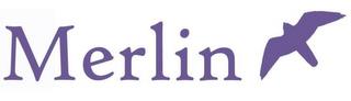 MERLIN trademark