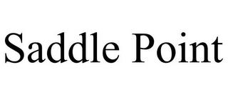 SADDLE POINT trademark