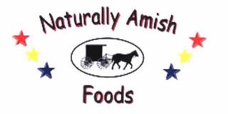 NATURALLY AMISH FOODS trademark