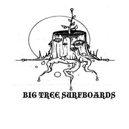 BIG TREE SURFBOARDS trademark