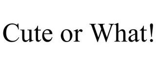 CUTE OR WHAT! trademark