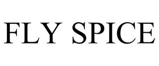 FLY SPICE trademark