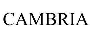 CAMBRIA trademark