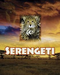 SERENGETI trademark