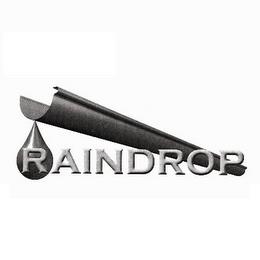 RAINDROP trademark