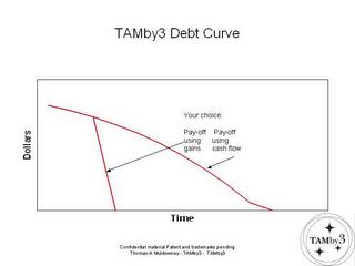 TAMBY3 DEBT CURVE DOLLARS TIME YOUR CHOICE: PAY-OFF USING GAINS PAY-OFF USING CASH FLOW trademark