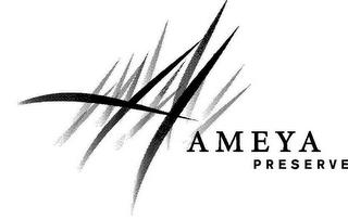 AMEYA PRESERVE trademark