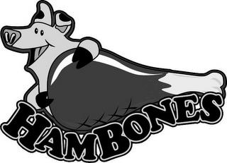 HAMBONES trademark