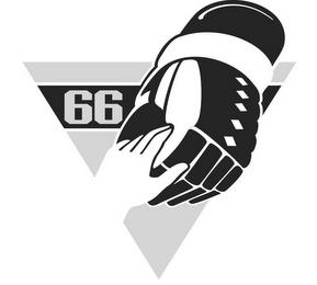 66 trademark