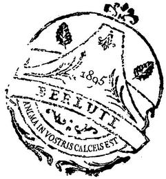 1895 BERLUTI ANIMA IN VOSTRIS CALCELS EST trademark