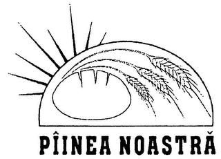 PÎINEA NOASTRA trademark