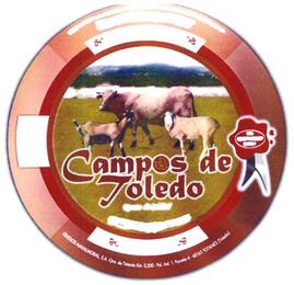 CAMPOS DE TOLEDO trademark