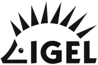 IGEL trademark