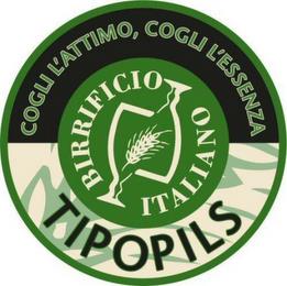 TIPOPILS BIRRIFICIO ITALIANO COGLI L'ATTIMO, COGLI L'ESSENZA trademark