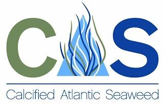 CAS CALCIFIED ATLANTIC SEAWEED trademark