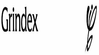 GRINDEX GI trademark