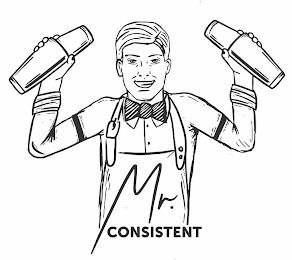 MR. CONSISTENT trademark