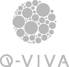 Q-VIVA trademark