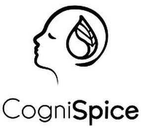 COGNISPICE trademark