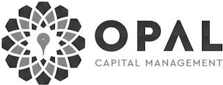 OPAL CAPITAL MANAGEMENT trademark