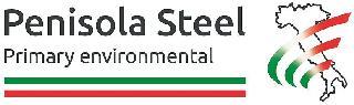 PENISOLA STEEL PRIMARY ENVIRONMENTAL trademark