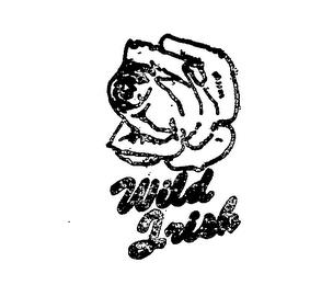 WILD TISH trademark