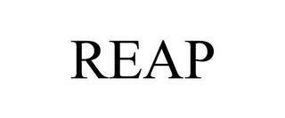 REAP trademark