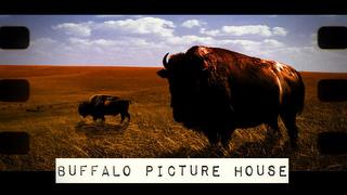 BUFFALO PICTURE HOUSE trademark