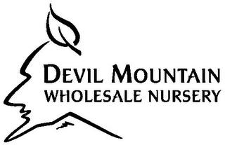 DEVIL MOUNTAIN WHOLESALE NURSERY trademark