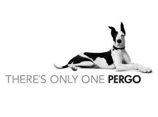 THERE'S ONLY ONE PERGO trademark