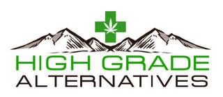 HIGH GRADE ALTERNATIVES trademark