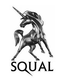 SQUAL trademark