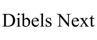 DIBELS NEXT trademark