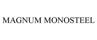 MAGNUM MONOSTEEL trademark