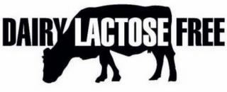 DAIRY LACTOSE FREE trademark