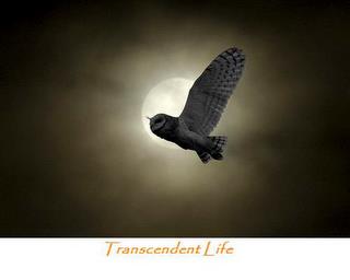 TRANSCENDENT LIFE trademark